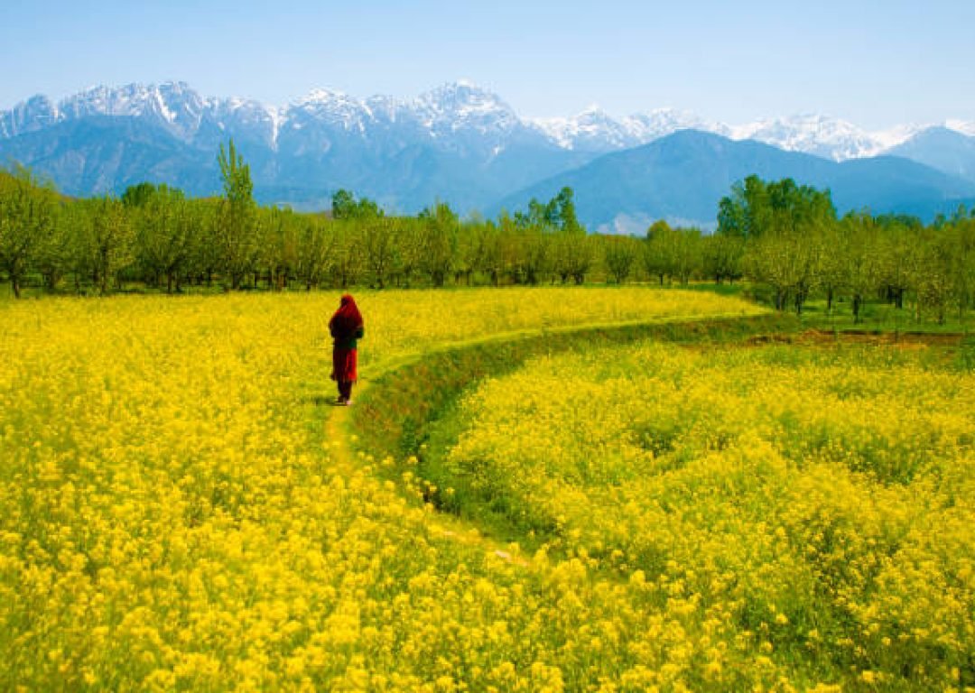 A Muslim Kashmiri girl or Indian girl walking inthe beautiful valley of Kashmir India. isolated on snow hill background